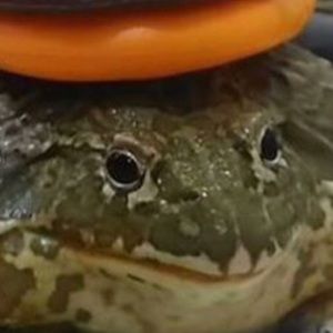 Meet your Posher, Ian